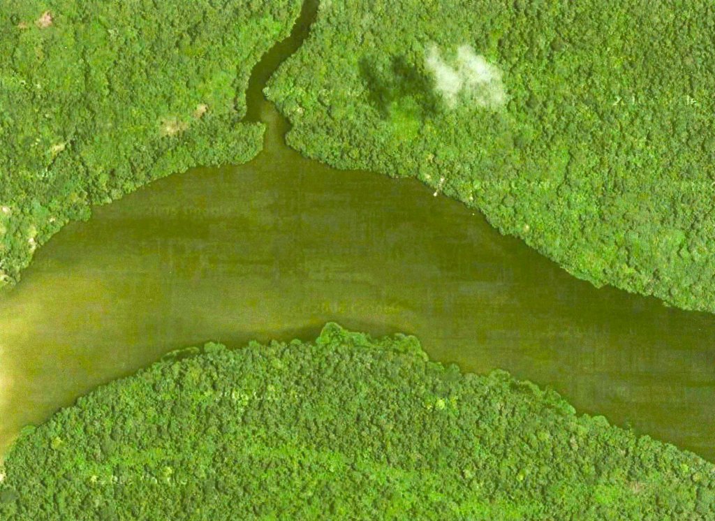 Satellite view of the Amazon rainforest surrounding the Isula Biological Preserve in Peru, where Dr. José Cabanillas and the EthnoMedicine Preservation Project® have worked to protect nearly 6,000 acres of one of the most biodiverse regions on Earth.