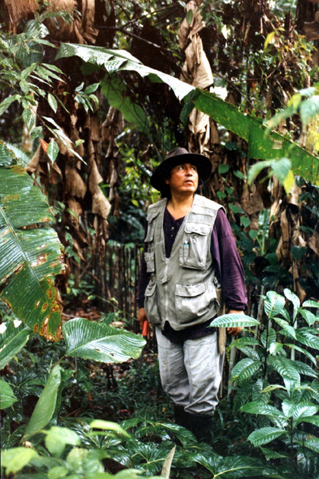 peru-amazon-P-AMZ-3-Dr.-Cabanillasjungle